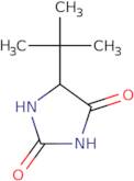 5-tert-Butylimidazolidine-2,4-dione
