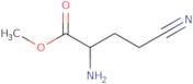 Methyl 2-amino-4-cyanobutanoate