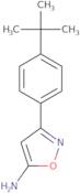 3-(4-tert-Butylphenyl)-1,2-oxazol-5-amine