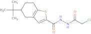 5-tert-Butyl-N'-(2-chloroacetyl)-4,5,6,7-tetrahydro-1-benzothiophene-2-carbohydrazide