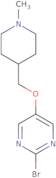 2-bromo-(5-(1-methyl-4-piperidinyl)methoxy)-2-pyrimidine