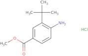 Methyl 4-amino-3-(tert-butyl)benzoate hydrochloride