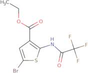 Ethyl 5-bromo-2-(2,2,2-trifluoroacetamido)thiophene-3-carboxylate