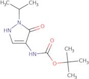 tert-Butyl N-[3-oxo-2-(propan-2-yl)-2,3-dihydro-1H-pyrazol-4-yl]carbamate