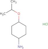 4-(Propan-2-yloxy)cyclohexan-1-amine hydrochloride