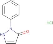 2-Phenyl-1,2-dihydro-3H-pyrazol-3-one hydrochloride