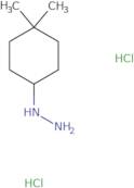 (4,4-Dimethylcyclohexyl)hydrazine dihydrochloride