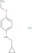 N-(Cyclopropylmethyl)-4-ethoxyaniline hydrochloride