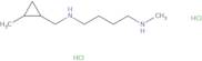 [4-(Methylamino)butyl][(2-methylcyclopropyl)methyl]amine dihydrochloride