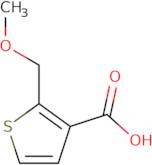 2-(Methoxymethyl)thiophene-3-carboxylic acid