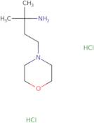 2-Methyl-4-(morpholin-4-yl)butan-2-amine dihydrochloride