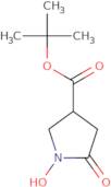 tert-Butyl 1-hydroxy-5-oxopyrrolidine-3-carboxylate