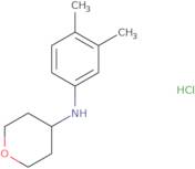 N-(3,4-Dimethylphenyl)oxan-4-amine hydrochloride