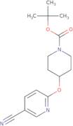 tert-Butyl 4-(5-cyanopyridin-2-yloxy)piperidine-1-carboxylate