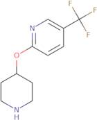 2-(Piperidin-4-yloxy)-5-(trifluoromethyl)pyridine