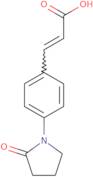(2E)-3-[4-(2-Oxopyrrolidin-1-yl)phenyl]prop-2-enoic acid