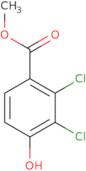 Methyl 2,3-dichloro-4-hydroxybenzoate