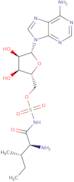 Aminoacyl tRNA synthetase-IN-1