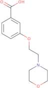 3-(2-Morpholin-4-yl-ethoxy)-benzoic acid