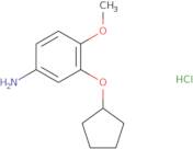 3-(Cyclopentyloxy)-4-methoxyaniline hydrochloride
