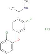 {1-[2-Chloro-4-(2-chlorophenoxy)phenyl]ethyl}(methyl)amine hydrochloride