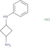 N1-Phenylcyclobutane-1,3-diamine hydrochloride