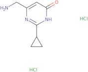 6-(Aminomethyl)-2-cyclopropyl-3,4-dihydropyrimidin-4-one dihydrochloride