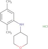 N-(2,5-Dimethylphenyl)oxan-4-amine hydrochloride