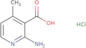 2-Amino-4-methylpyridine-3-carboxylic acid hydrochloride