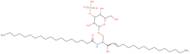 N-Octadecanoyl-sulfatide