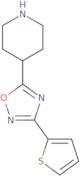 4-[3-(Thien-2-yl)-[1,2,4]-oxadiazol-5-yl]-piperidine