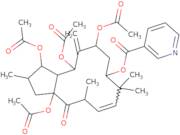 3,5,7,15-Tetraacetoxy-9-nicotinoyloxy-6(17),11-jatrophadien-14-one