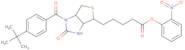 N1-(4-(t-Butyl)benzoyl)-D-(+)biotin 2-nitrophenyl ester