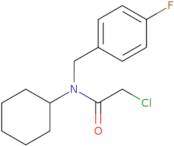 2-Chloro-N-cyclohexyl-N-[(4-fluorophenyl)methyl]acetamide