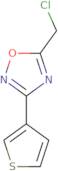 5-(1-Chloro-2-methylpropan-2-yl)-3-(thiophen-2-yl)-1,2,4-oxadiazole