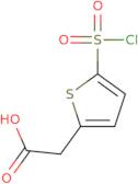 2-[5-(Chlorosulfonyl)thiophen-2-yl]acetic acid