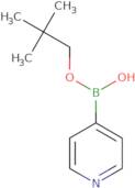 Pyridine-4-boronic acid neopentyl ester