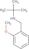 N-(2-Methoxyphenylmethyl)tert-butylamine