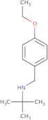 tert-Butyl[(4-ethoxyphenyl)methyl]amine