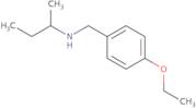 (Butan-2-yl)[(4-ethoxyphenyl)methyl]amine