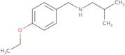 [(4-Ethoxyphenyl)methyl](2-methylpropyl)amine