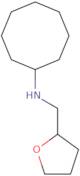 N-(Oxolan-2-ylmethyl)cyclooctanamine