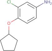 3-Chloro-4-(cyclopentyloxy)aniline