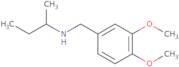 (Butan-2-yl)[(3,4-dimethoxyphenyl)methyl]amine