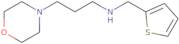 [3-(Morpholin-4-yl)propyl](thiophen-2-ylmethyl)amine