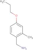 (2-Methyl-4-propoxyphenyl)methanamine