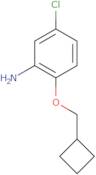 5-Chloro-2-(cyclobutylmethoxy)aniline