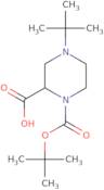 4-tert-Butyl-piperazine-1,2-dicarboxylic acid 1-tert-butyl ester