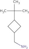 (3-tert-Butylcyclobutyl)methanamines