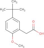 2-(5-tert-Butyl-2-methoxyphenyl)acetic acid